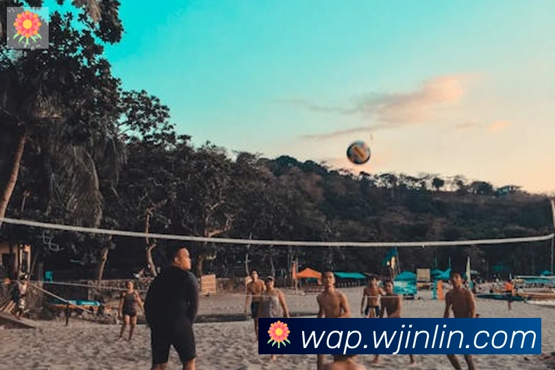 leyu乐鱼官方网站服务体系