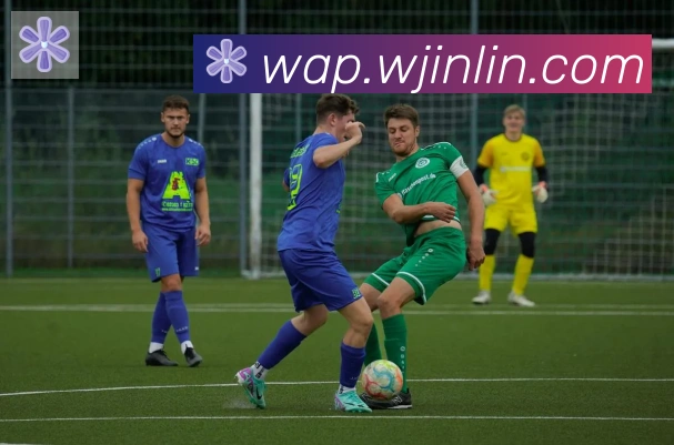 leyu乐鱼官方网站荣誉