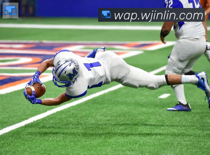 leyu乐鱼官方网站荣誉